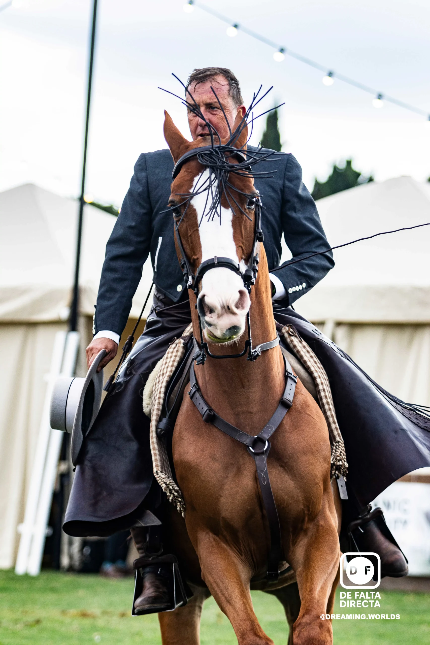 Hípica en el club de polo de Barcelona