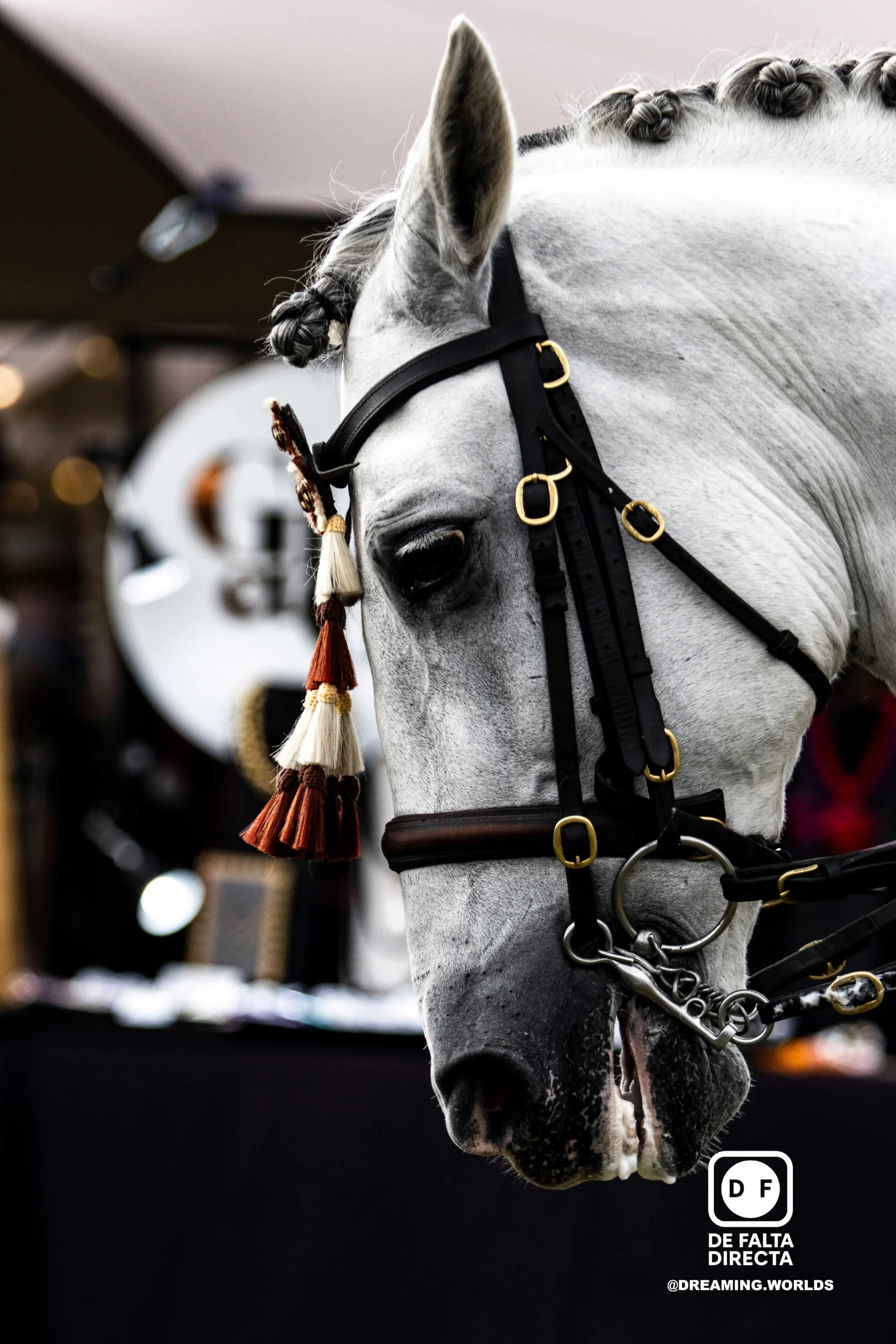 Hípica en el club de polo de Barcelona