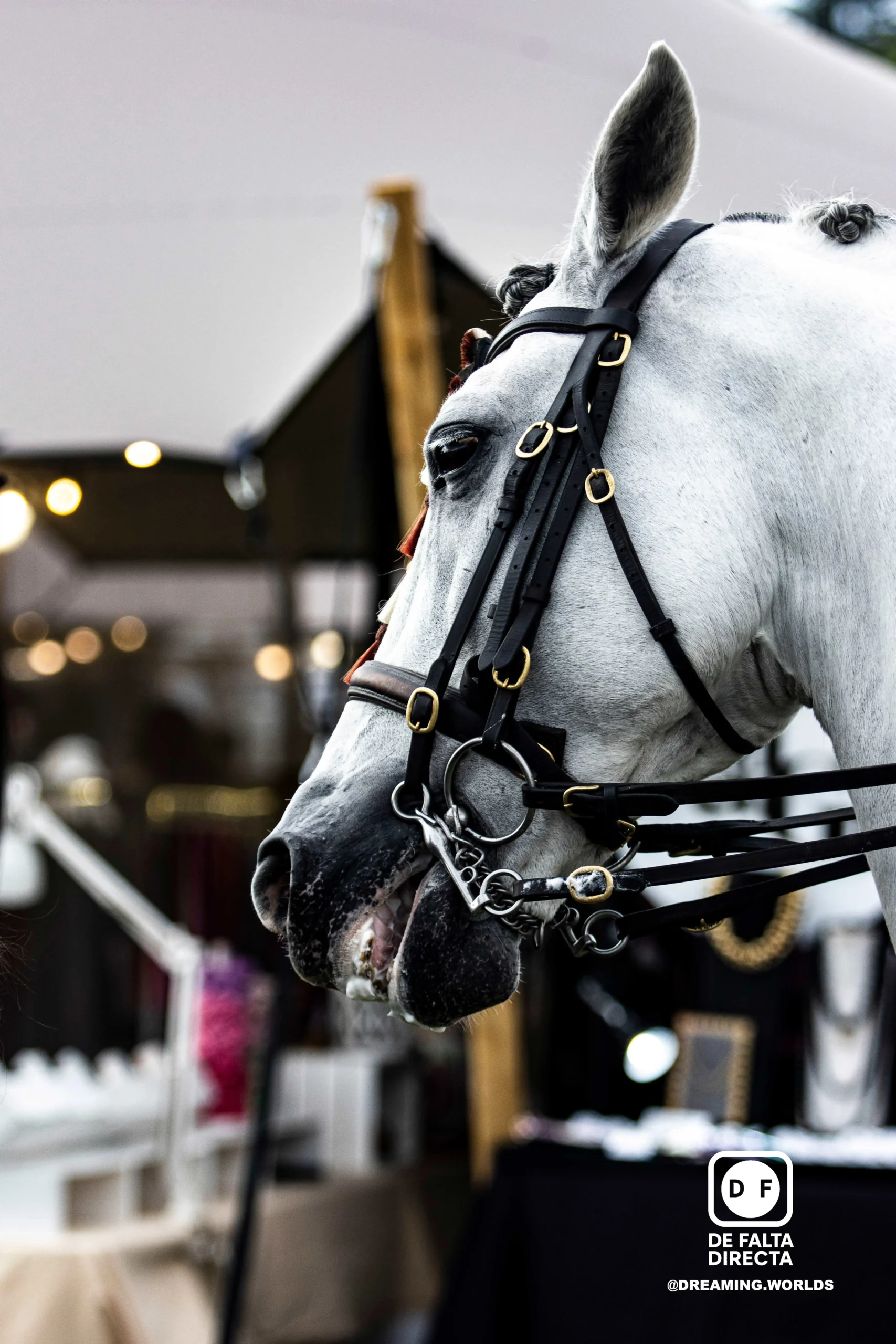 Hípica en el club de polo de Barcelona