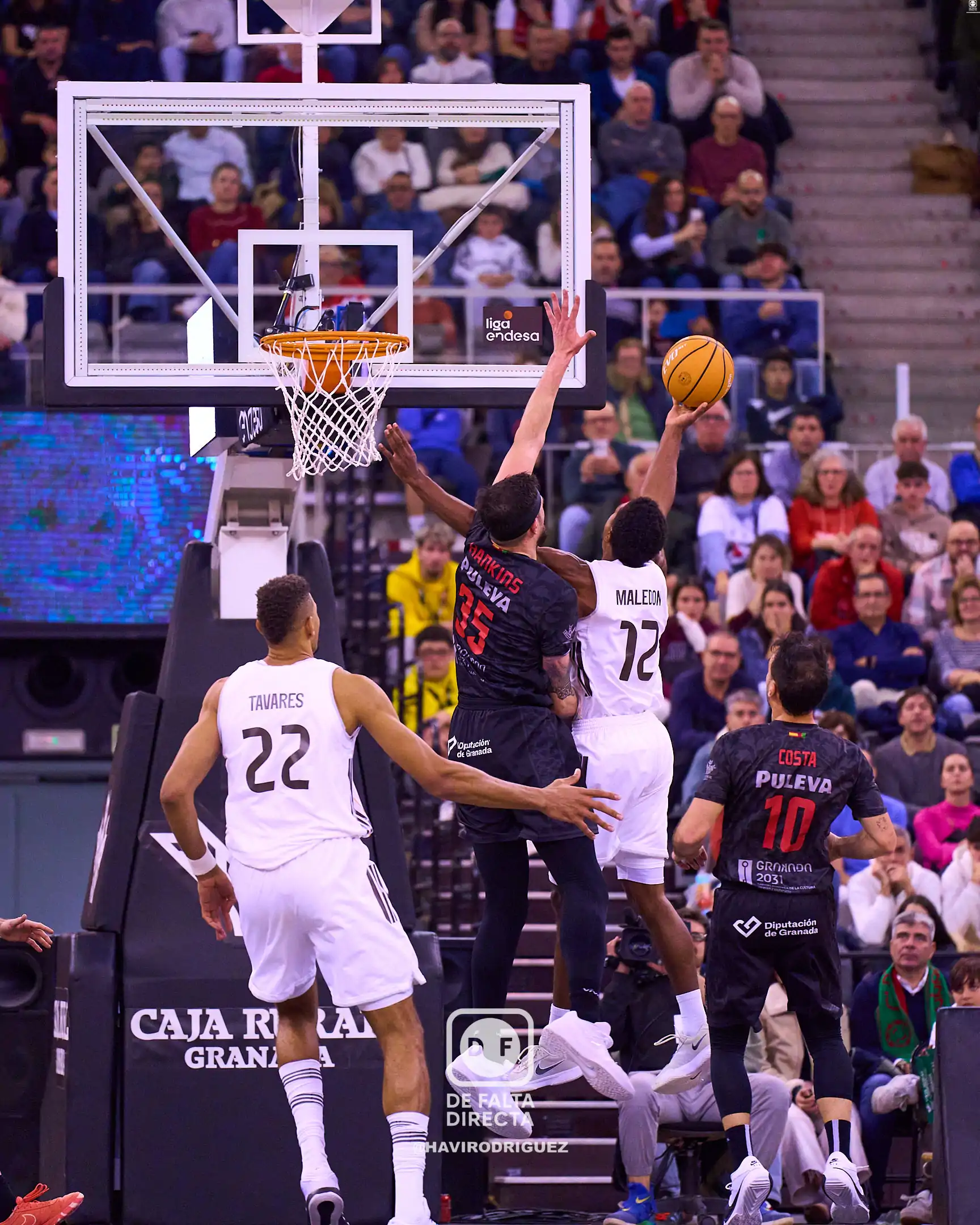 Coviran Granada 81 - 79 Real Madrid