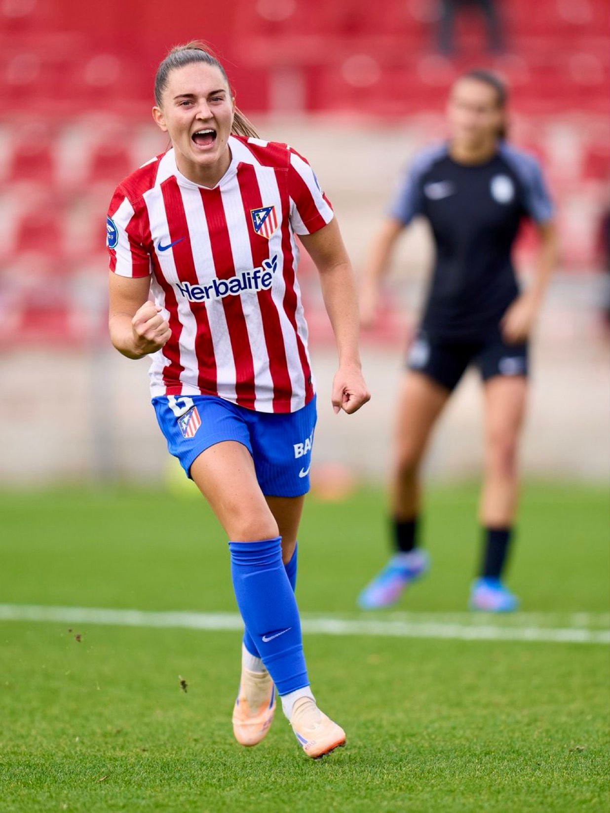 Gloria colchonera
